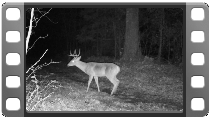 Bucks 1 video thumbnail