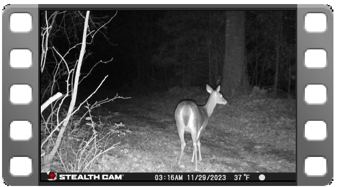 Does Part 1 video thumbnail