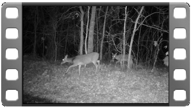 Does Part 2 video thumbnail