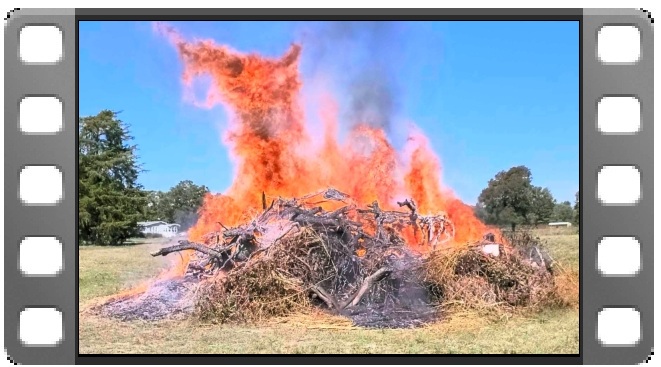 Burn pile video thumbnail