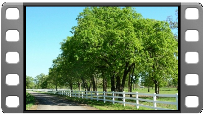 No music video thumbnail