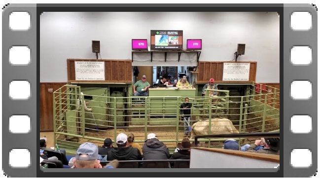 Sale barn video thumbnail