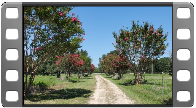 The Ranch video thumbnail